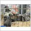 Galeria zdjęć: . Link otwiera powiększoną wersję zdjęcia.