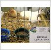 Galeria zdjęć: . Link otwiera powiększoną wersję zdjęcia.