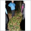 Galeria zdjęć: . Link otwiera powiększoną wersję zdjęcia.