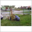 Galeria zdjęć: . Link otwiera powiększoną wersję zdjęcia.