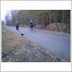 Galeria zdjęć: . Link otwiera powiększoną wersję zdjęcia.