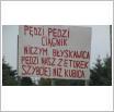 Galeria zdjęć: . Link otwiera powiększoną wersję zdjęcia.