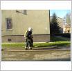 Galeria zdjęć: . Link otwiera powiększoną wersję zdjęcia.