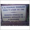 Galeria zdjęć: . Link otwiera powiększoną wersję zdjęcia.