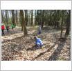 Galeria zdjęć: . Link otwiera powiększoną wersję zdjęcia.
