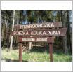 Galeria zdjęć: . Link otwiera powiększoną wersję zdjęcia.