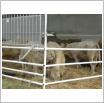 Galeria zdjęć: . Link otwiera powiększoną wersję zdjęcia.