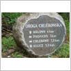 Galeria zdjęć: . Link otwiera powiększoną wersję zdjęcia.