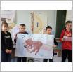 Galeria zdjęć: . Link otwiera powiększoną wersję zdjęcia.