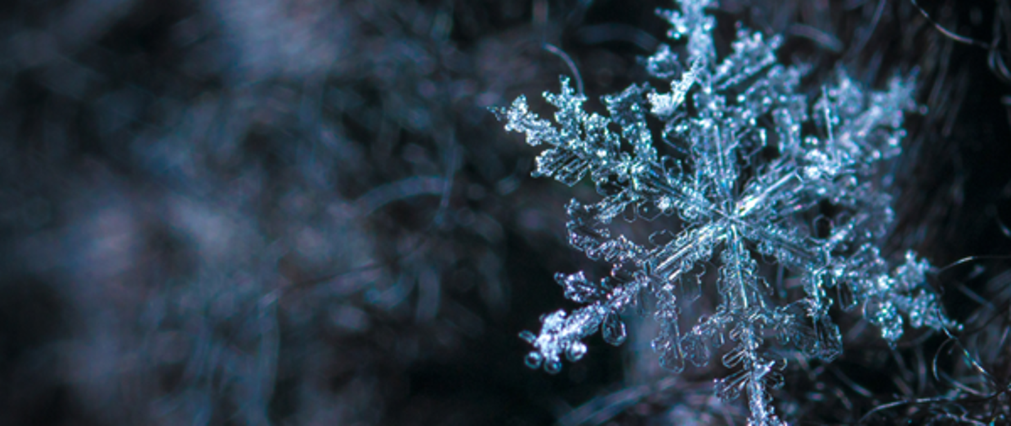 Zdjęcie: Uwaga! Dziś (26.01) możliwy marznący deszcz oraz gołoledź.