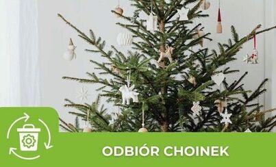 Zdjęcie: Poświąteczny odbiór choinek.